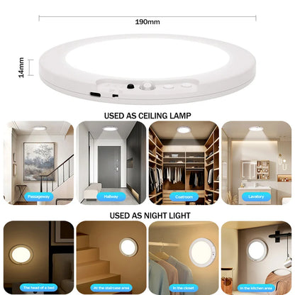 Motion Sensor Ceiling Light