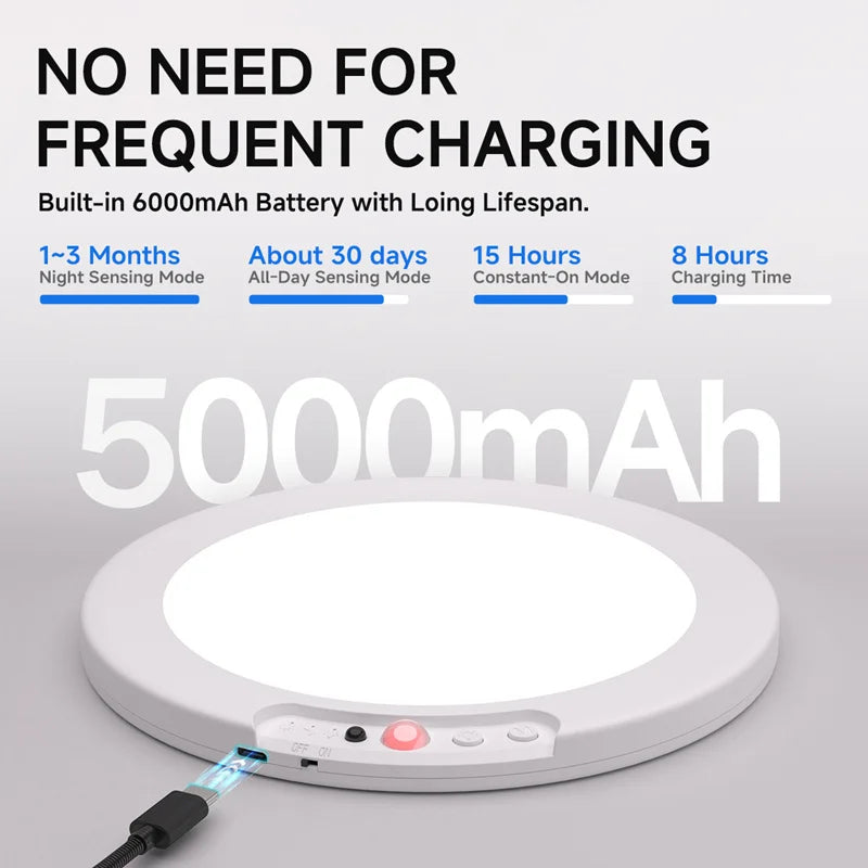 Motion Sensor Ceiling Light