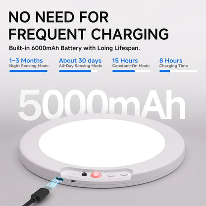 Motion Sensor Ceiling Light